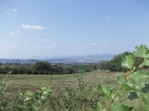 Terreno a Grottaminarda in strada Provinciale 36 - Foto 3