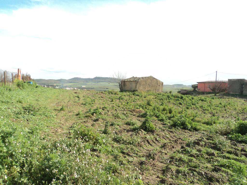 Terreno a Grammichele in SS124 - Foto 3