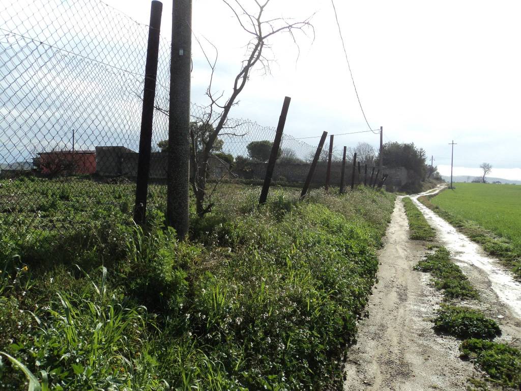 Terreno a Grammichele in SS124 - Foto 4