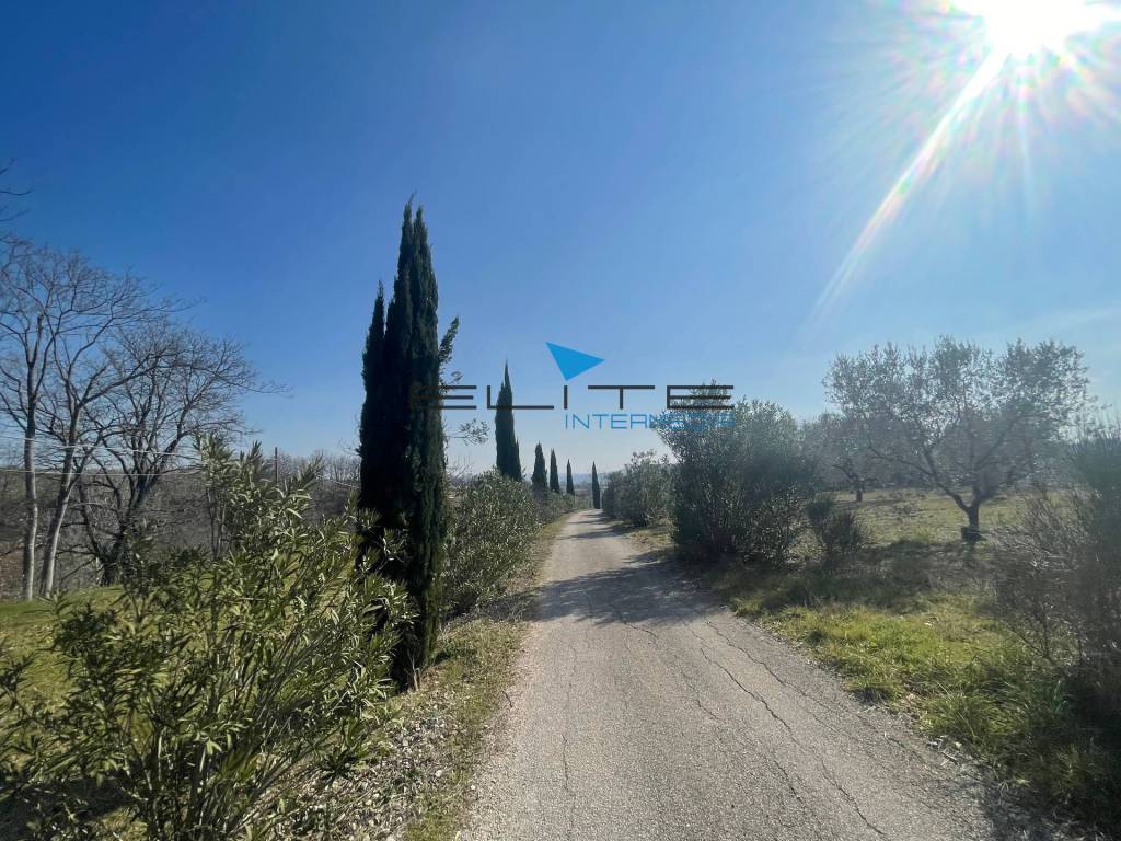 Villa a Città sant'angelo in Via di Villa Cipressi - Foto 4