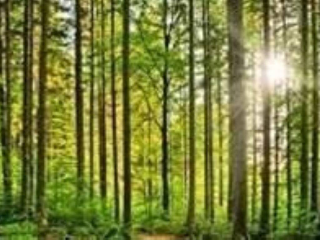 Terreno a Cucciago in Via Navedano - Foto 3