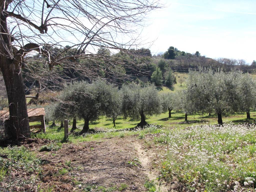 Rustico / casale a Ripatransone in Contrada Magazzini - Foto 5