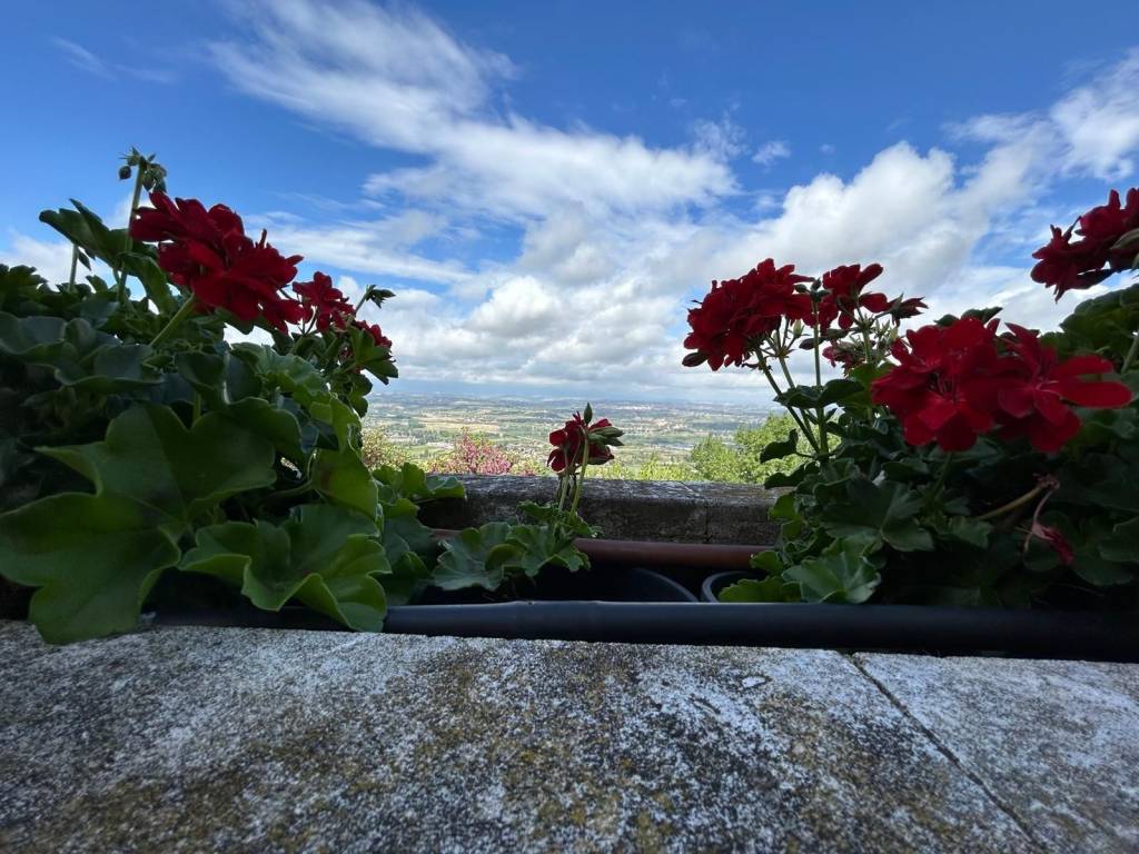 Villa a Chieti - Foto 5