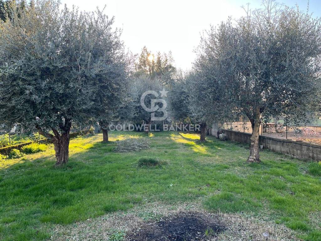Villa a Pietrasanta in Via Pisanica, 33 - Foto 4