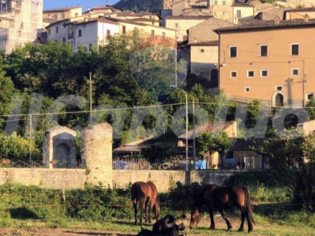 Casa indipendente a Fagnano alto in VIA COLVETTO, 8 - Foto 5