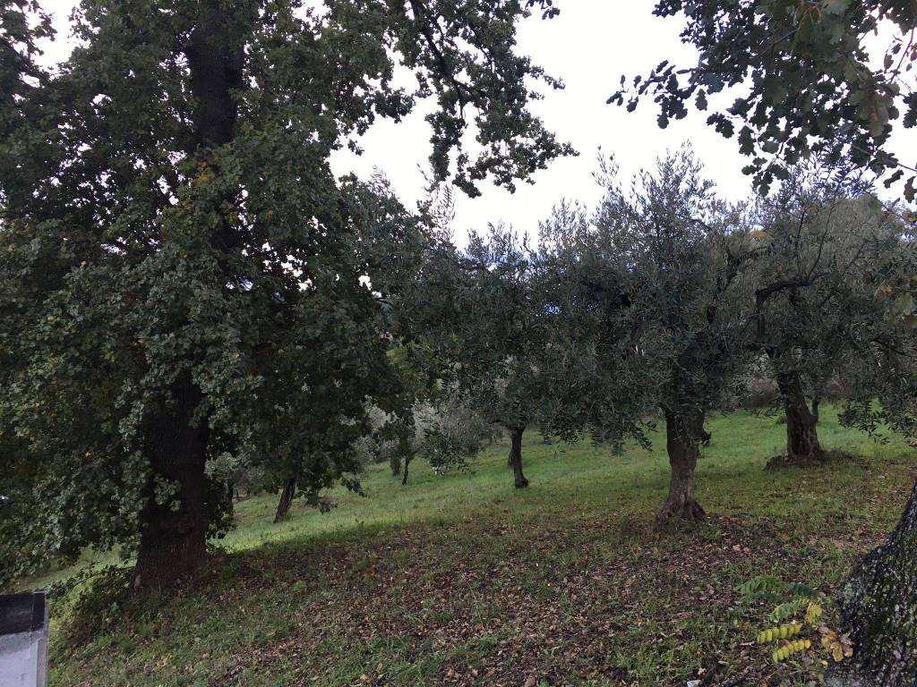 Terreno a Pescara in Strada Colle Santo Spirito - Foto 3