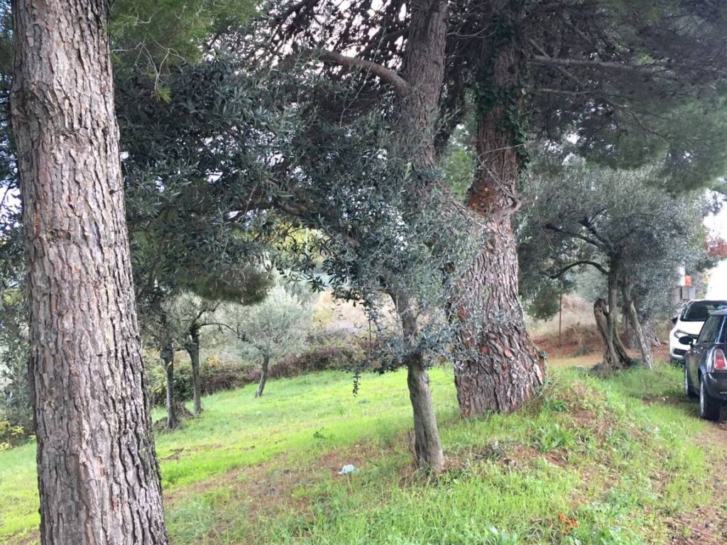 Terreno a Pescara in Strada Colle Santo Spirito - Foto 5
