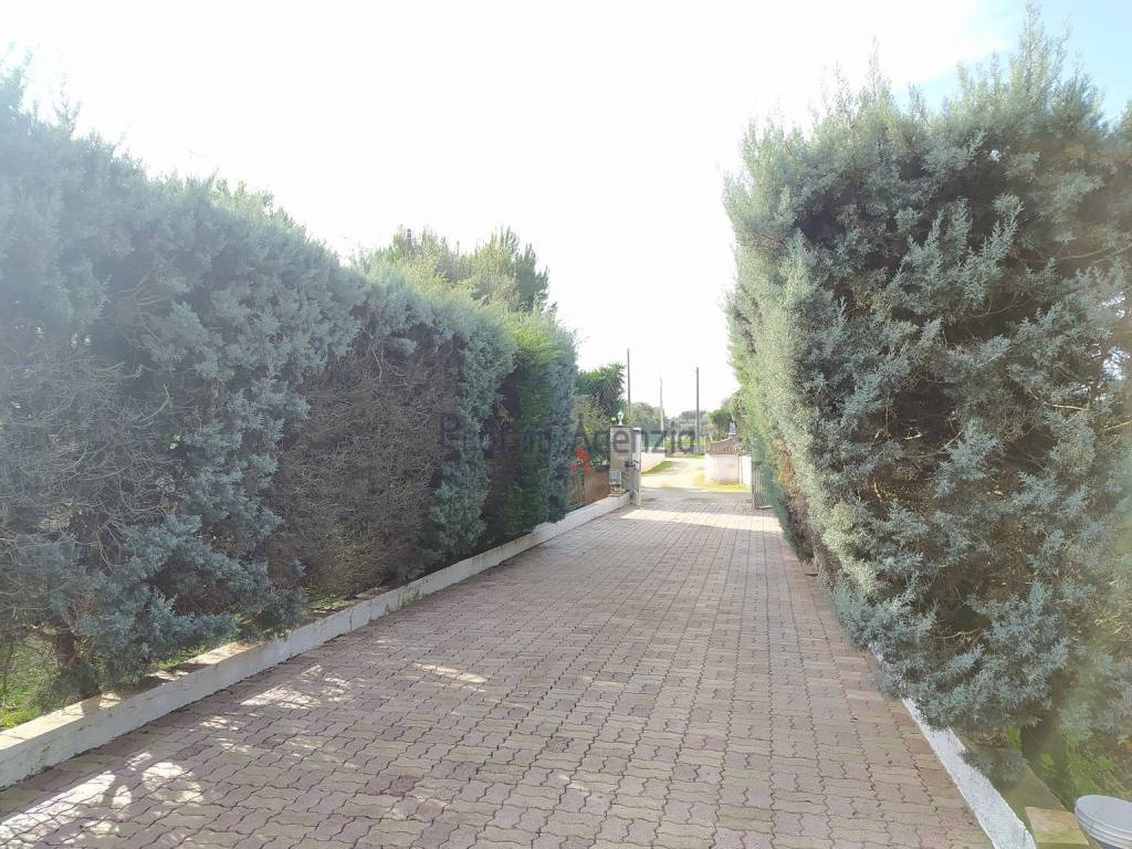 Palazzo / stabile a San vito dei normanni - Foto 2