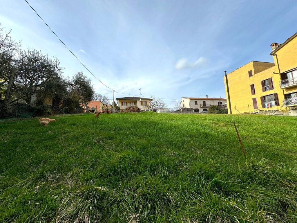 Terreno a Spoleto in Frazione Santa Croce - Foto 4