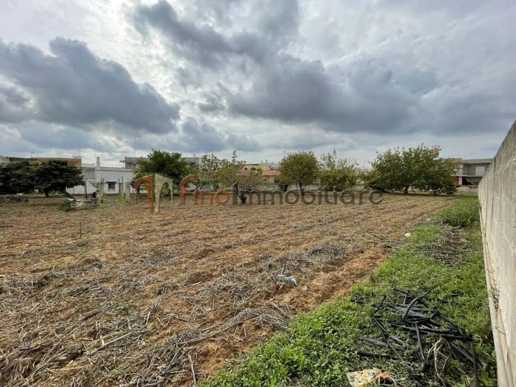 Terreno a Squinzano in Via Macello S.N.C. - Foto 4