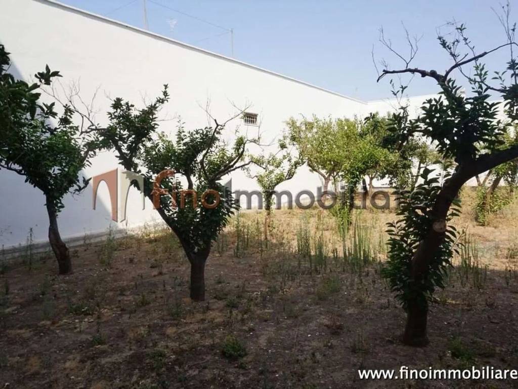 Terreno a Cellino san marco - Foto 2