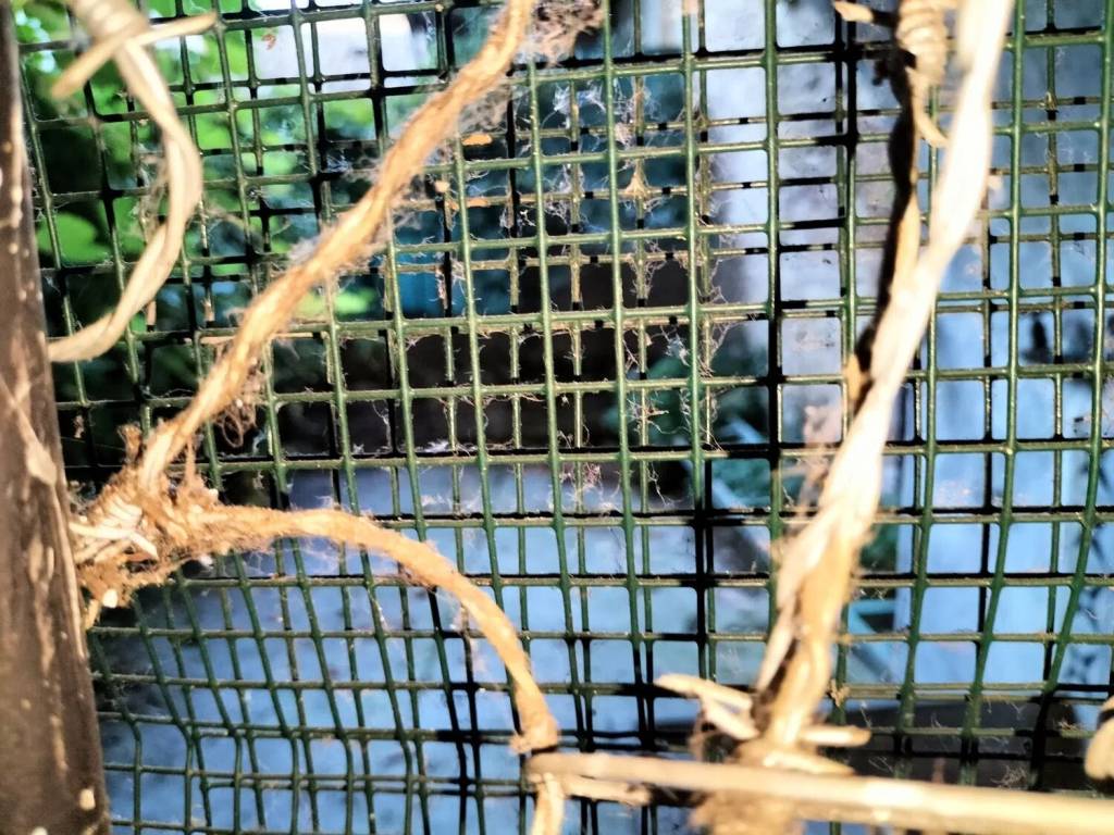 Appartamento a Lanciano in Corso Roma, 81 - Foto 5