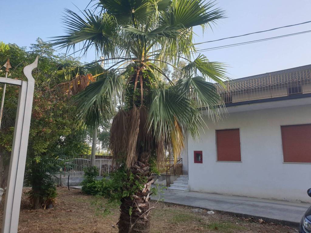 Villa a Campagna in SS91 - Foto 5