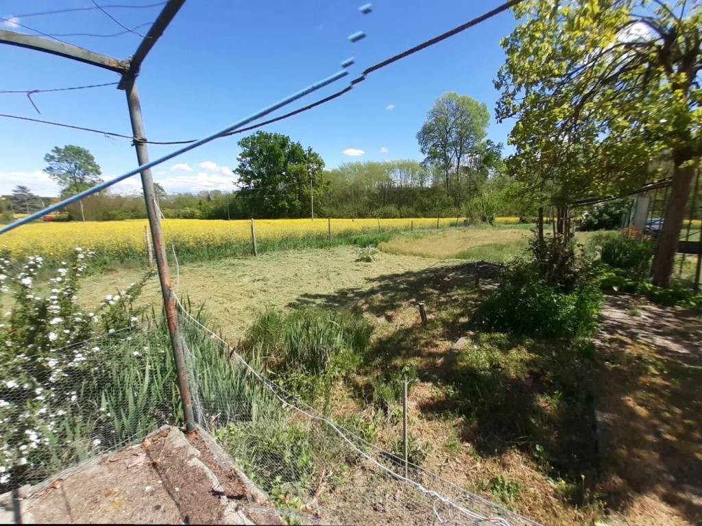 Villa a Cassine - Foto 3