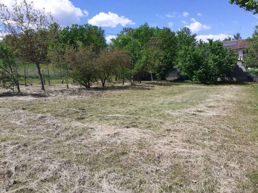 Villa a Cassine - Foto 5