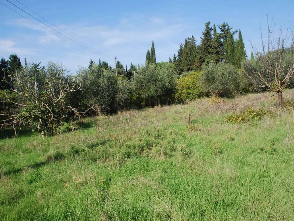 Terreno a Orbetello in Vicinanze Orbetello No Number - Foto 5