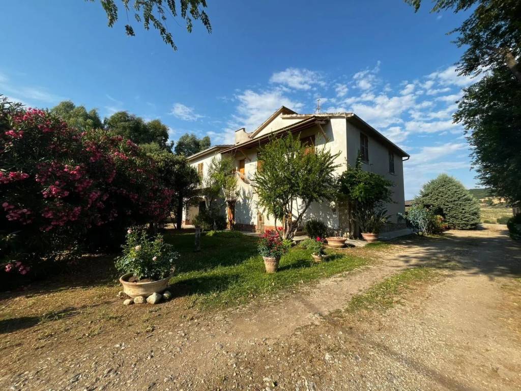 Rustico / casale a Magliano in toscana in Colle Di Lupo No Number - Foto 4