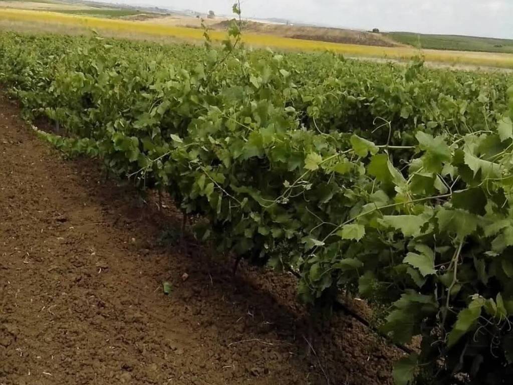 Terreno a Mazara del vallo in Via Salemi - Foto 4