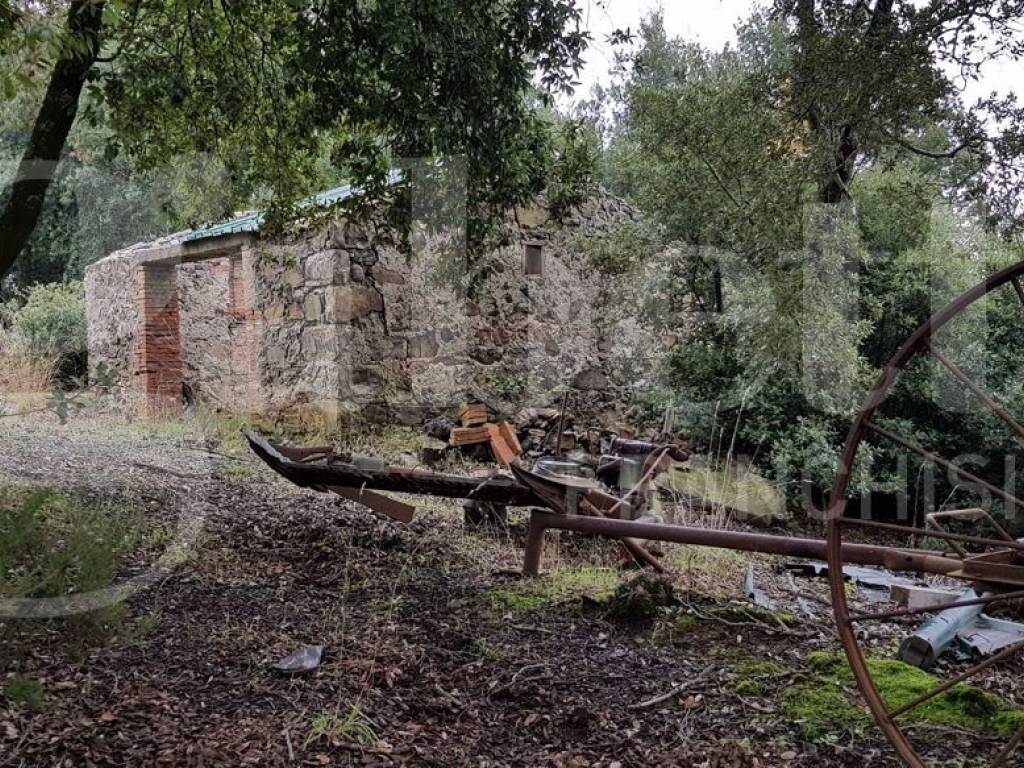 Rustico / casale a Massa marittima in Via Toscana , 8 - Foto 4