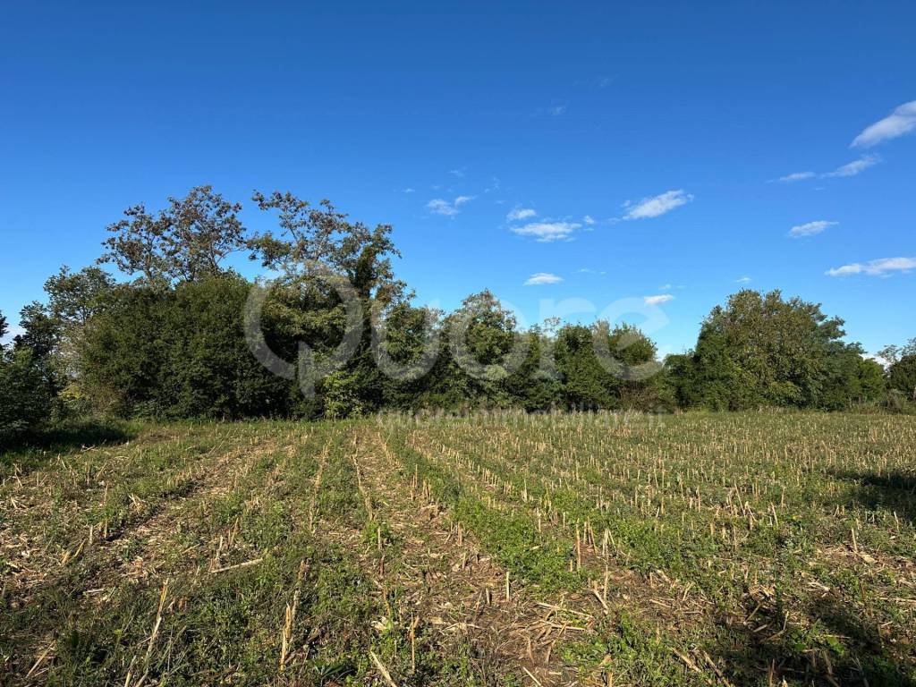 Terreno a Martignacco in Via di Vit - Foto 4