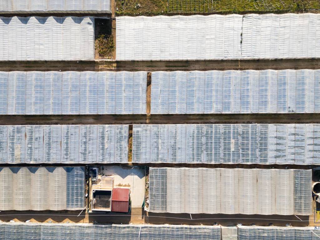 Terreno a Acate in Foce Dirillo - Foto 4