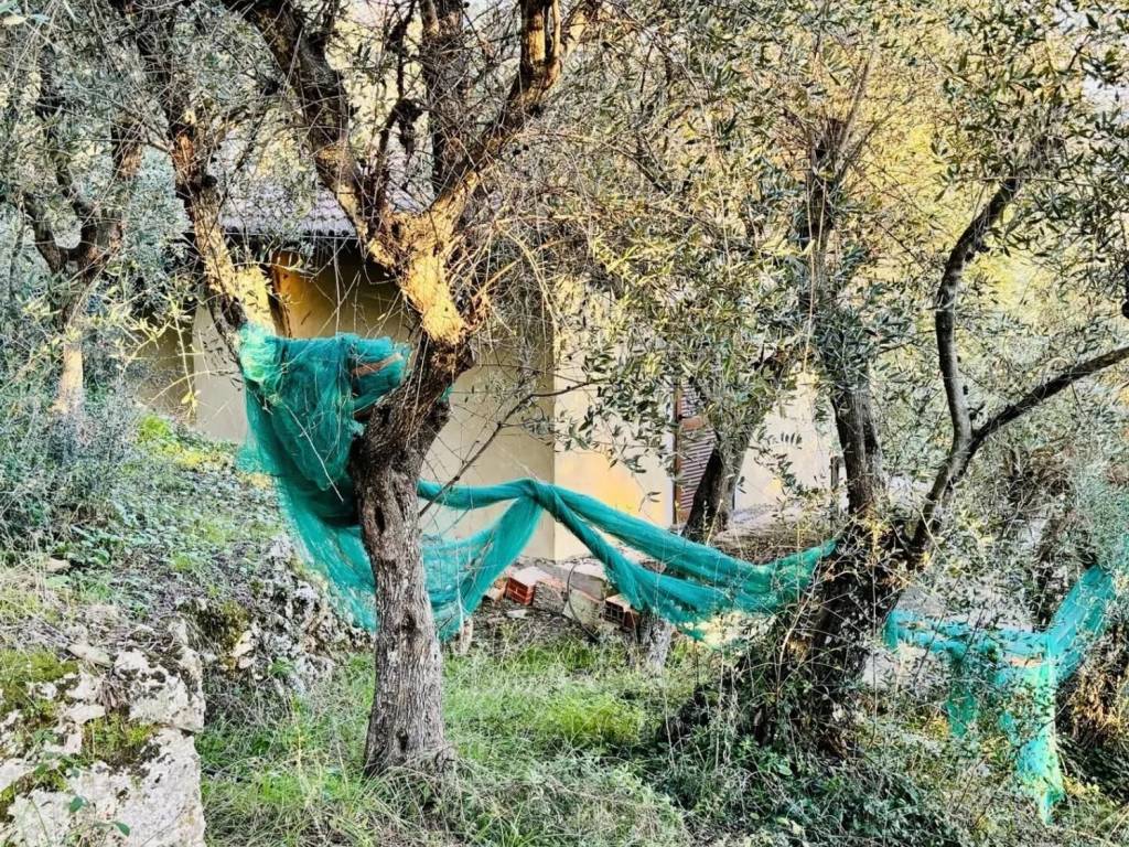 Rustico / casale a Pietrasanta in Via Foce Della Sanità, 55045 - Foto 4