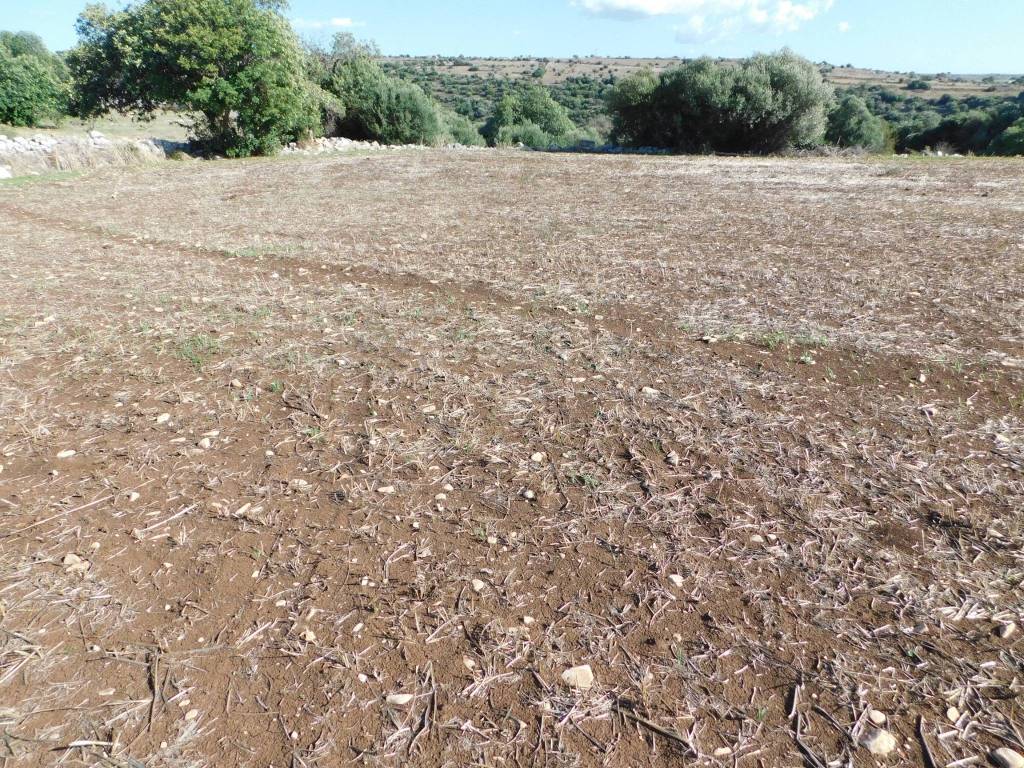 Terreno a Ragusa in Contrada Mendolilli - Foto 2