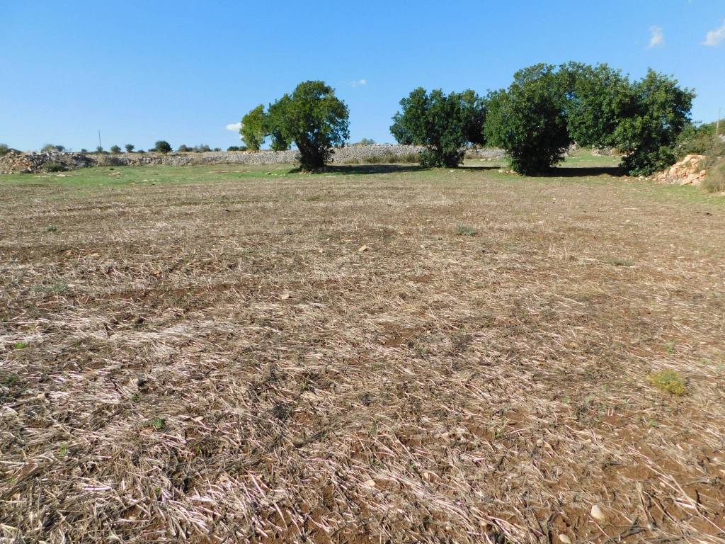 Terreno a Ragusa in Contrada Mendolilli - Foto 3