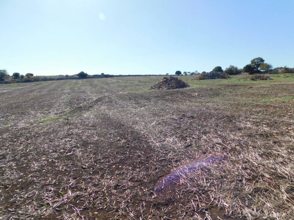 Terreno a Ragusa in Contrada Mendolilli - Foto 4
