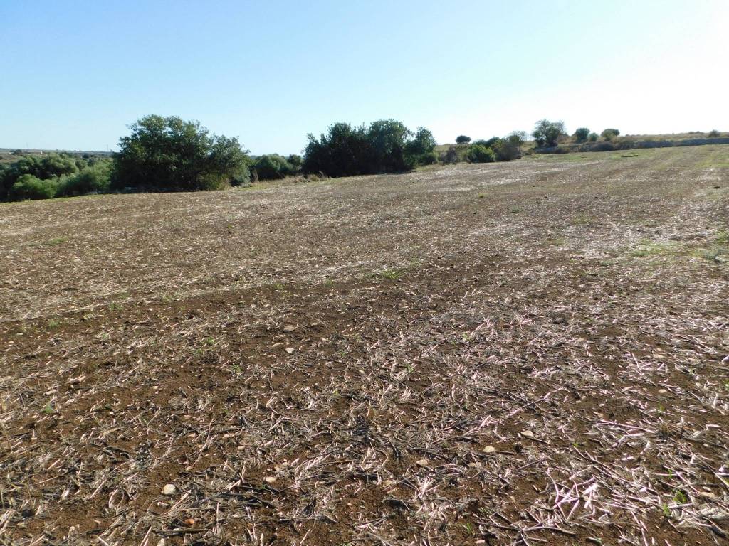 Terreno a Ragusa in Contrada Mendolilli - Foto 5