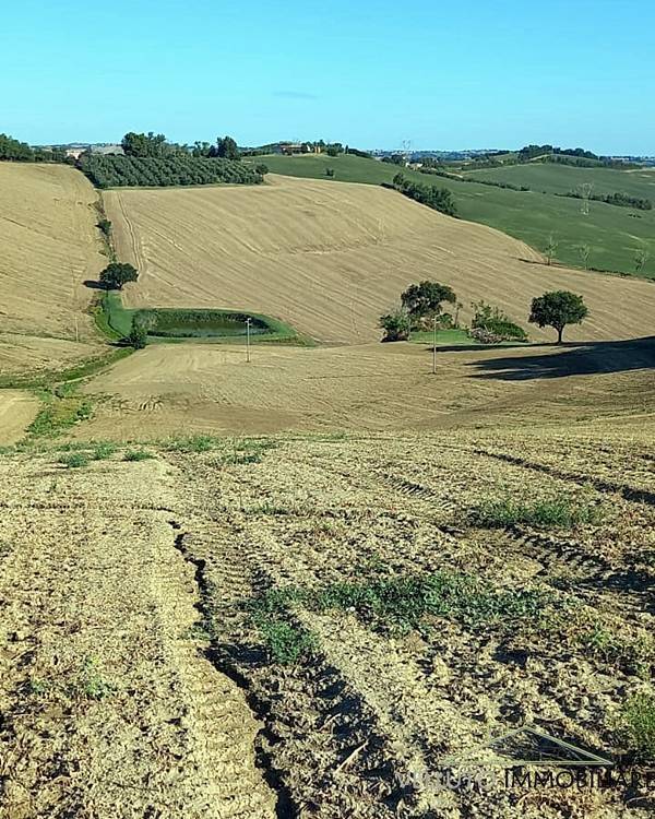 Terreno a Trecastelli in Via Francavilla - Foto 2