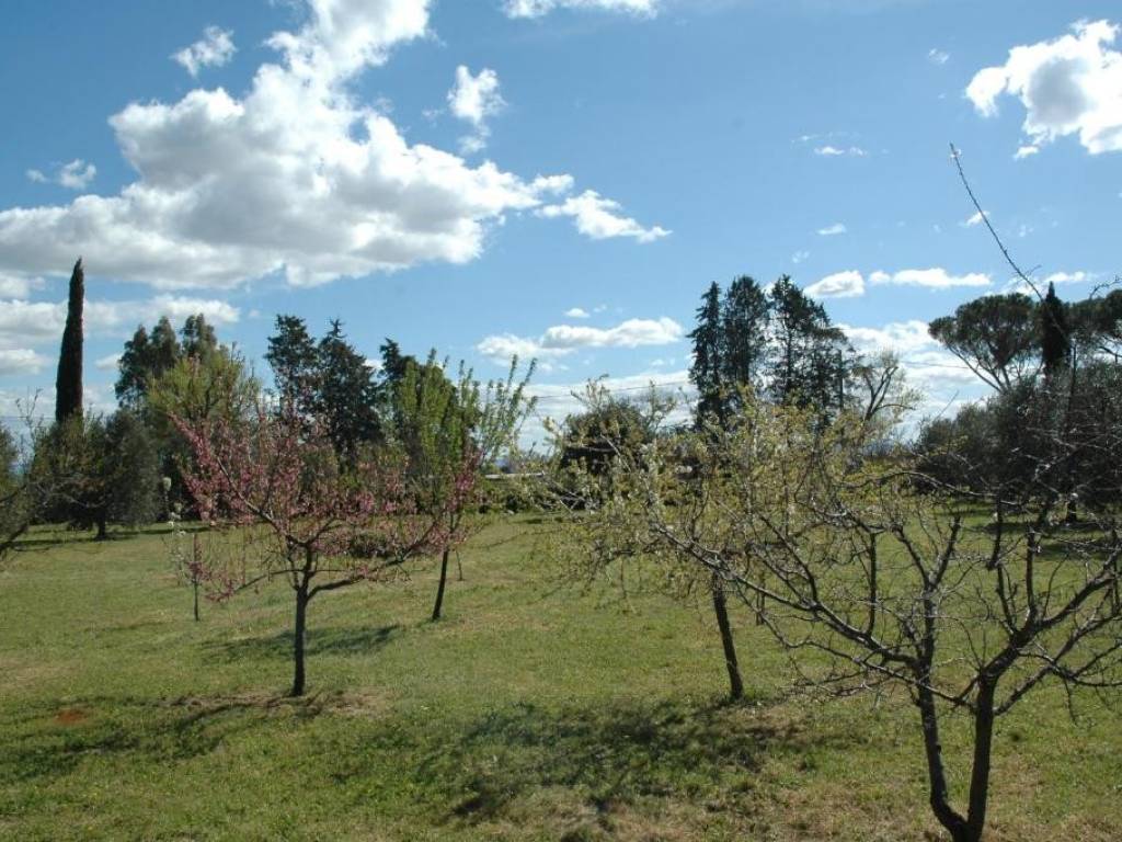 Villa a Castiglione della pescaia - Foto 4