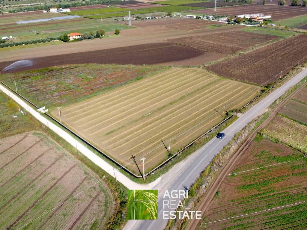 Terreno a Sezze in Strada Provinciale Setina degli Archi - Foto 2