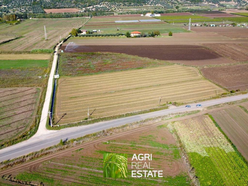 Terreno a Sezze in Strada Provinciale Setina degli Archi - Foto 3