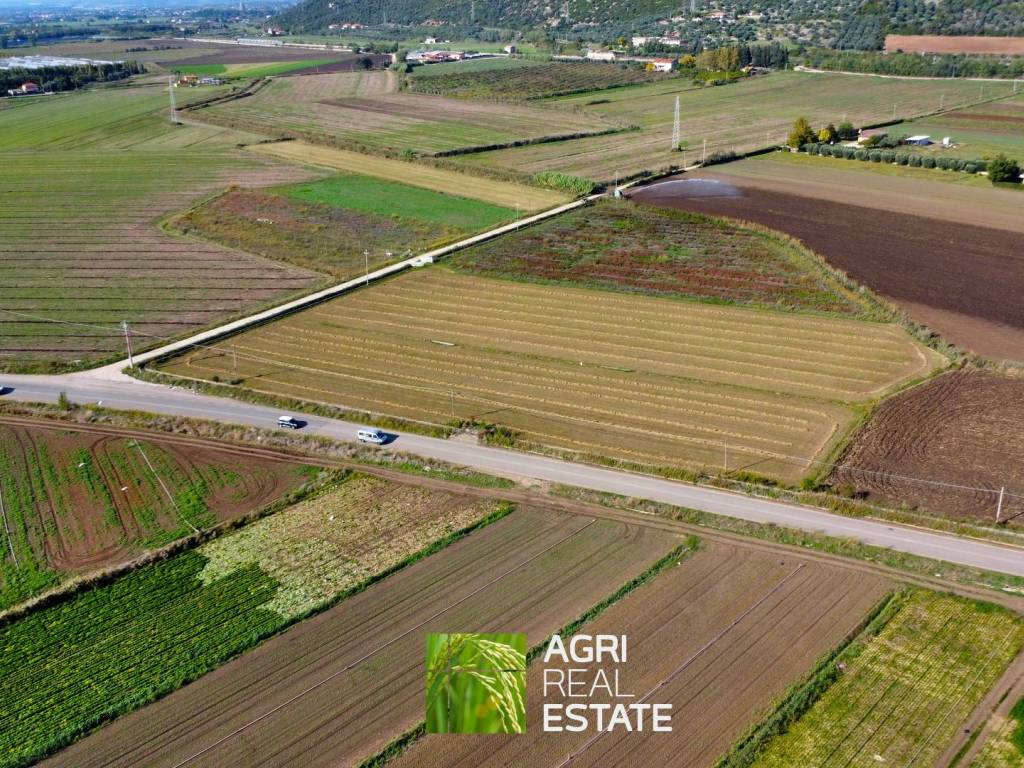 Terreno a Sezze in Strada Provinciale Setina degli Archi - Foto 4
