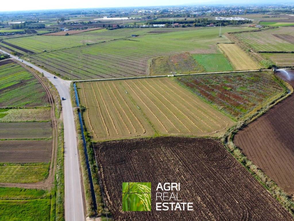 Terreno a Sezze in Strada Provinciale Setina degli Archi - Foto 5