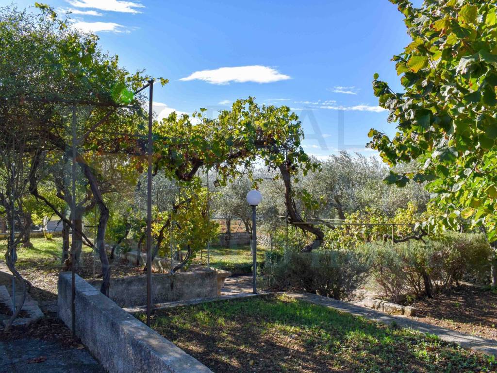 Villa a Noto in Via Tommaso Fazello, 228 - Foto 3