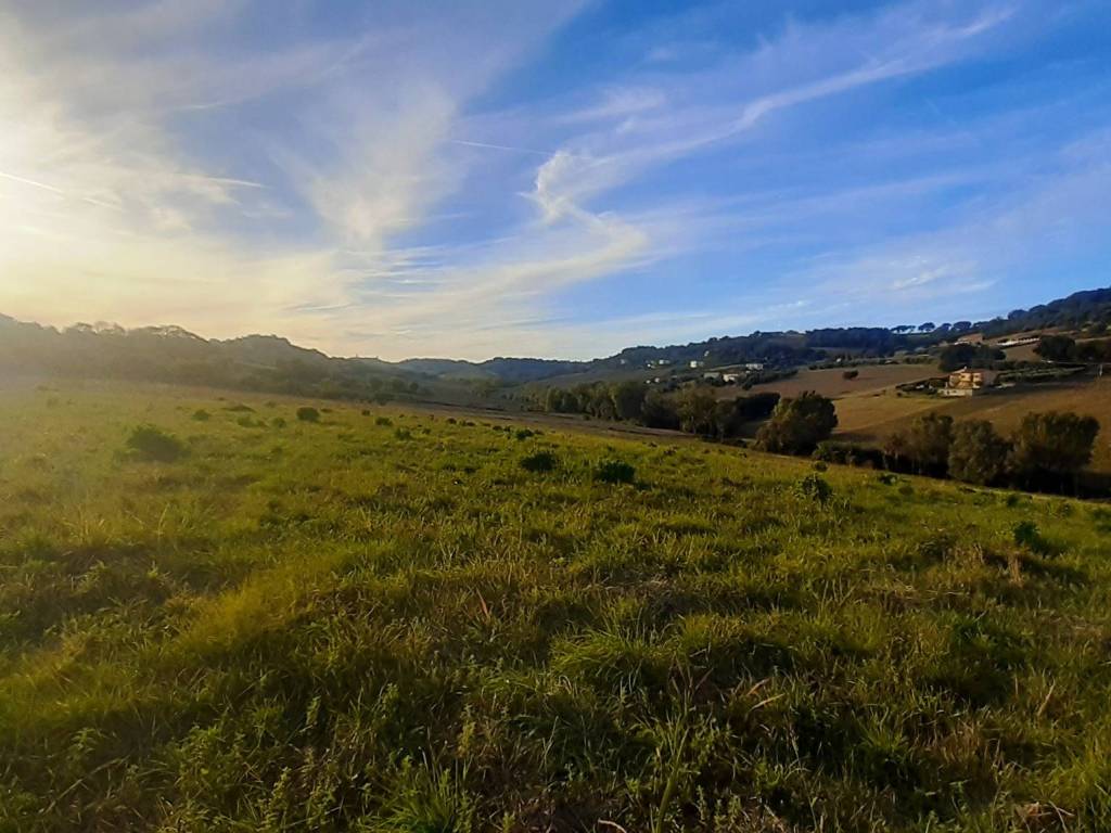 Terreno a Potenza picena - Foto 2