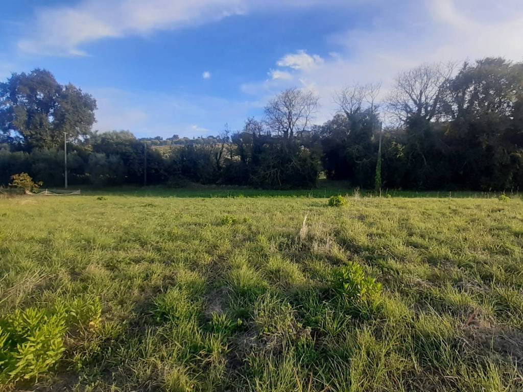 Terreno a Potenza picena - Foto 4