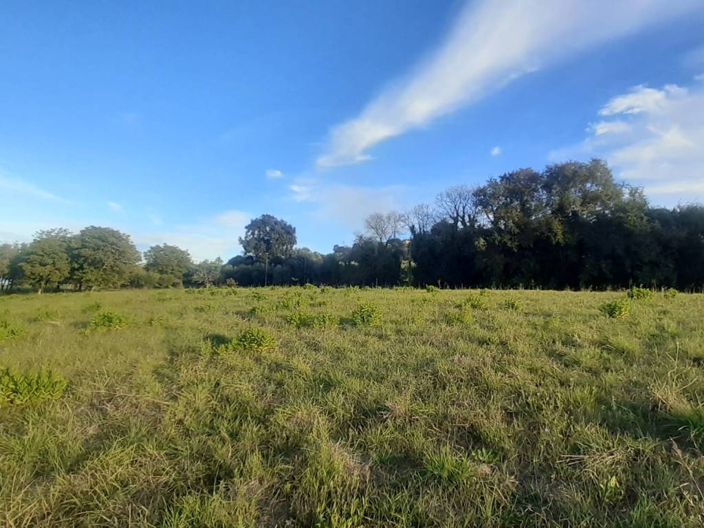 Terreno a Potenza picena - Foto 5