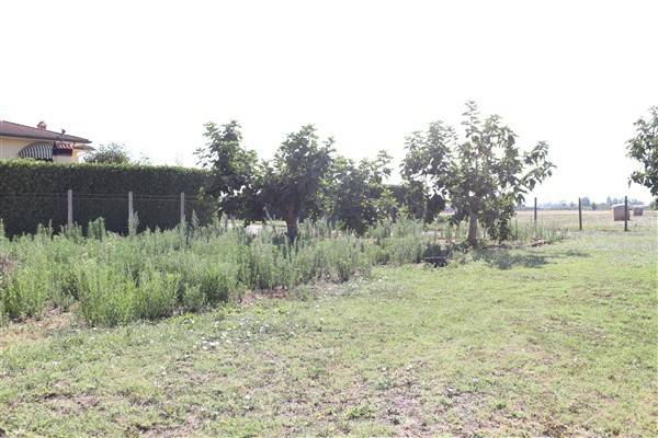 Villa a Cisterna di latina - Foto 2