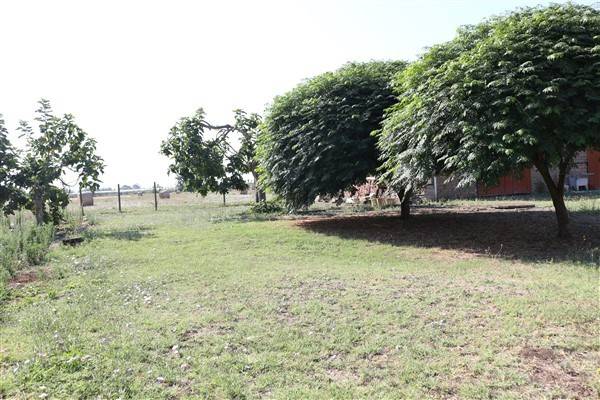 Villa a Cisterna di latina - Foto 3