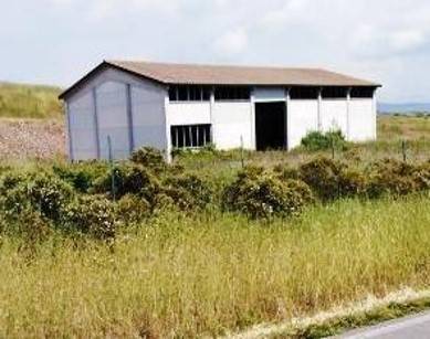 Immobile a Roccastrada in Località Muccaia - Foto 3