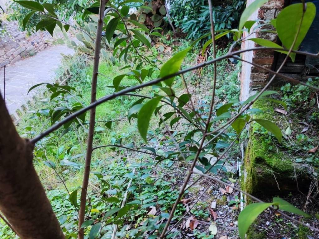 Casa indipendente a Capannori in Via di Sottomonte - Foto 5