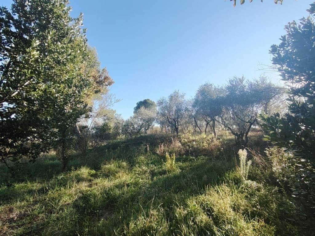 Villa a Spoleto in Frazione San Martino in Trignano - Foto 4