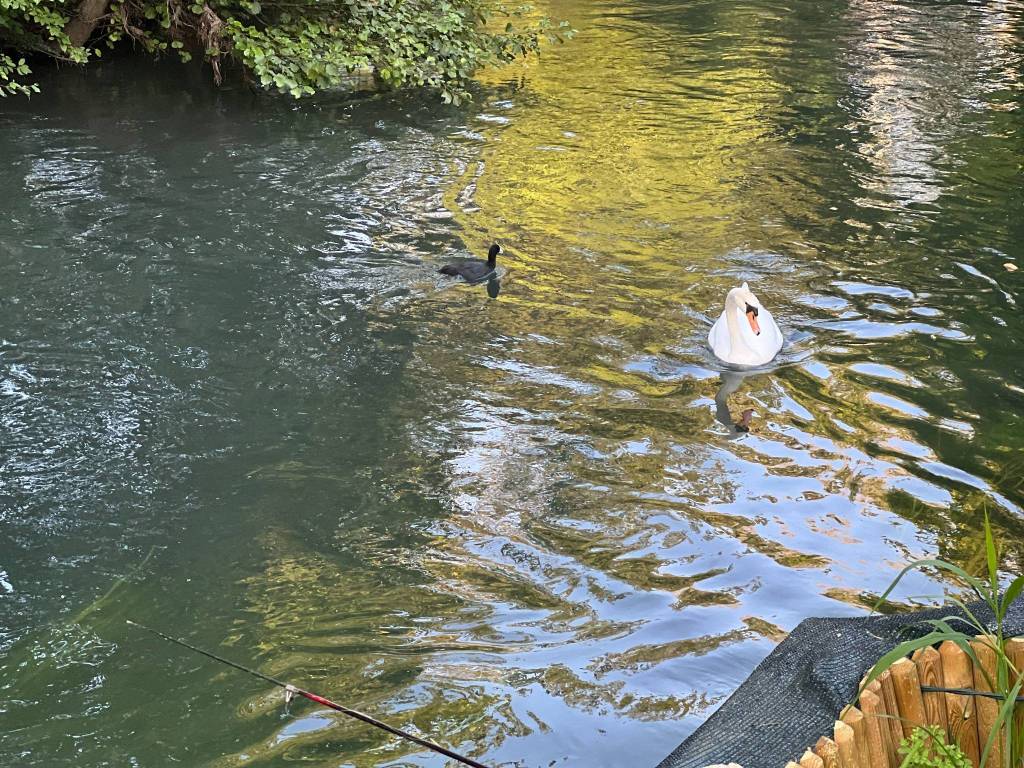 Villetta a schiera a Silea in Via Giambattista Tiepolo, 41 - Foto 3