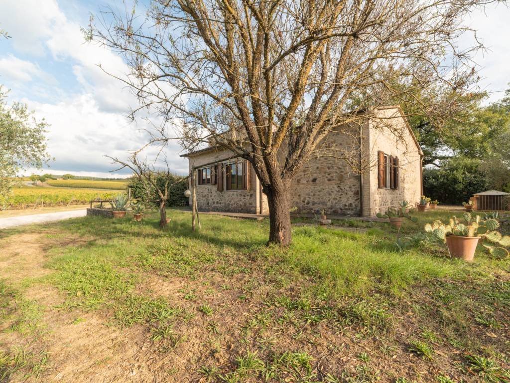 Rustico / casale a Montalcino - Foto 3