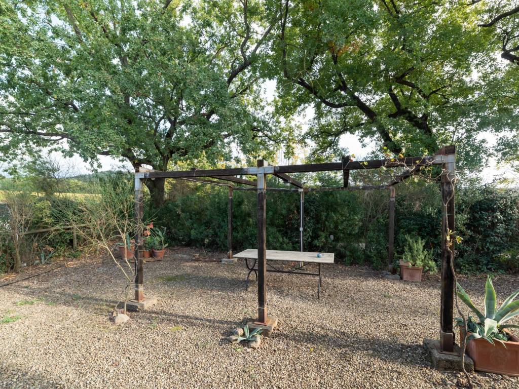 Rustico / casale a Montalcino - Foto 4