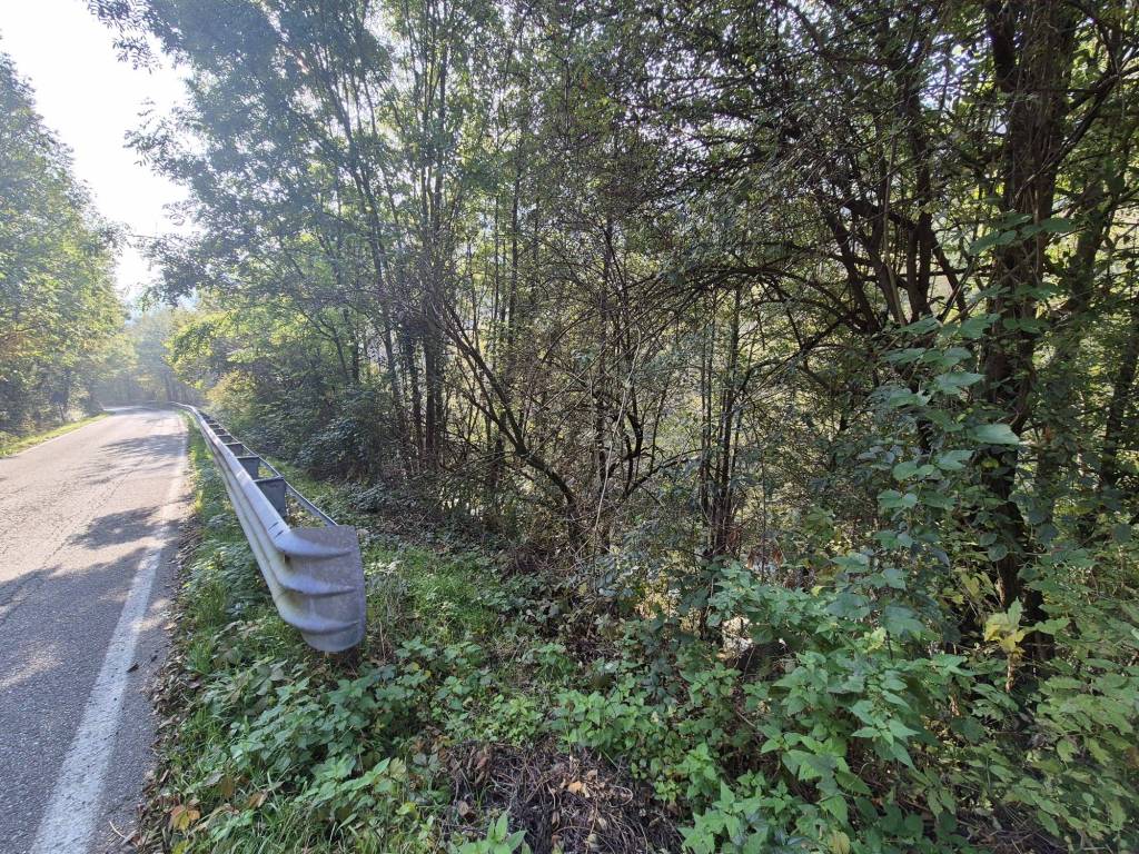 Terreno a Coazze in Via alle Fabbriche - Foto 4