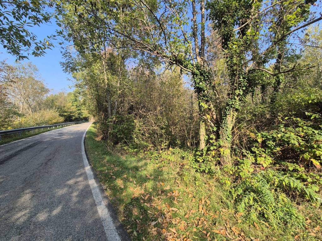 Terreno a Coazze in Via alle Fabbriche - Foto 5